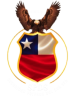 Seguridad Privada del Sur